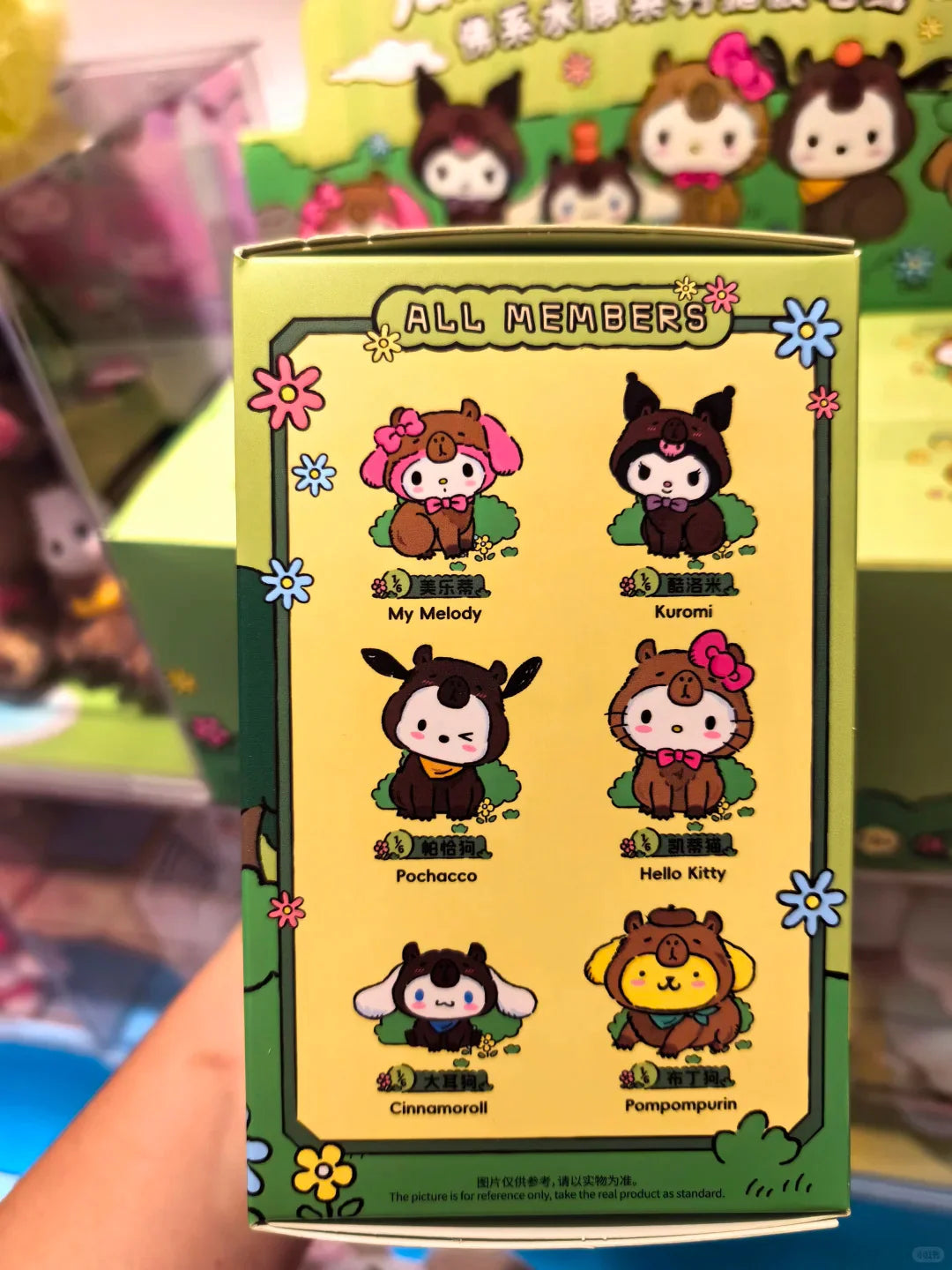 Sanrio Zen Forest Capybara Plush Blind Box